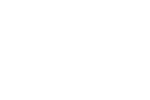 logo vertical dr philippe pelissier chirurgien plasticien esthetique paris