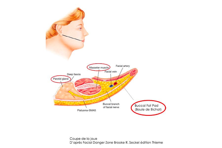 remplacement prothese mammaire prix chirurgie mammaire chirurgie esthetique paris dr philippe pelissier chirurgien plasticien esthetique paris