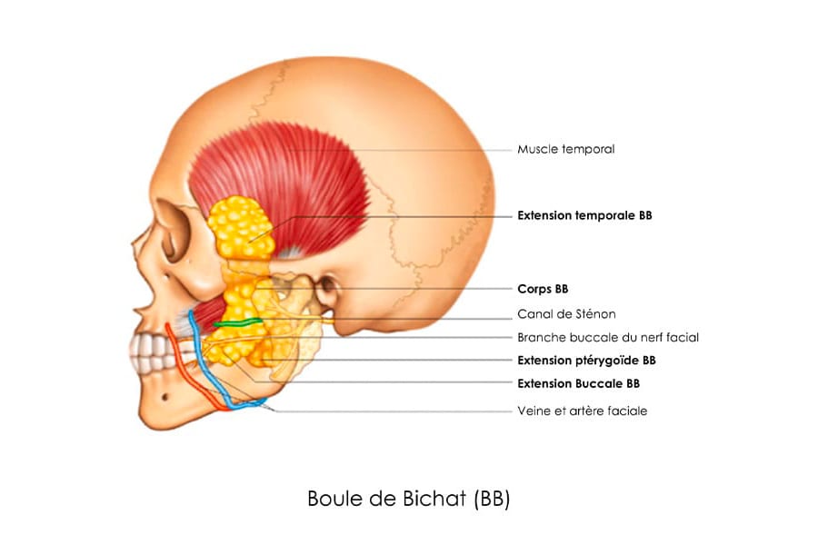 remplacement prothese mammaire prix chirurgie mammaire chirurgie esthetique paris dr philippe pelissier chirurgien plasticien esthetique paris